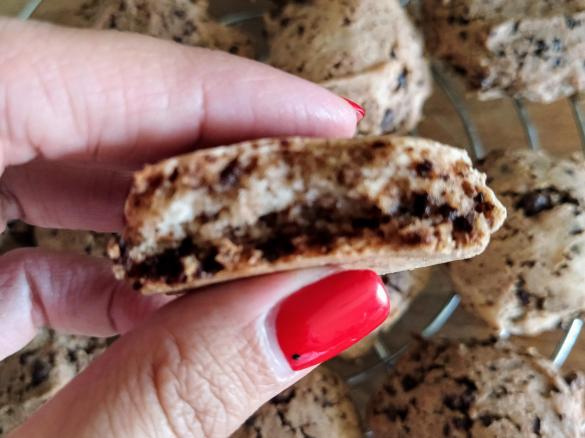 Biscoitos de Okara da Tânia