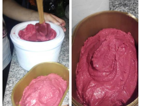 Gelado de Frutos Silvestres com Iogurte Natural Grego