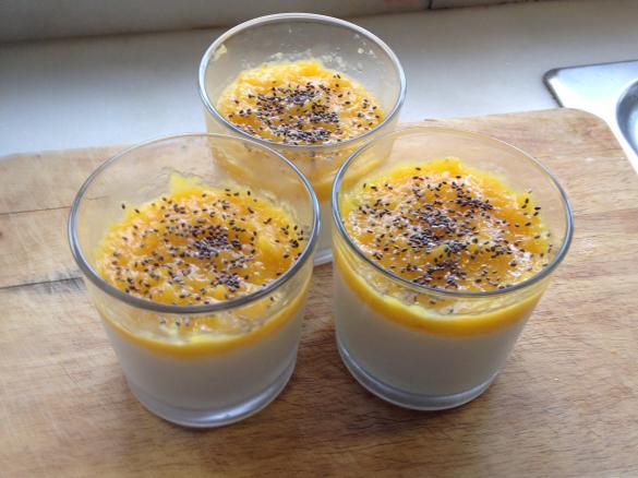 Panacota de Manga/Tangerina