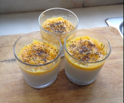 Panacota de Manga/Tangerina