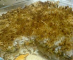 Empadão de Atum com Legumes 